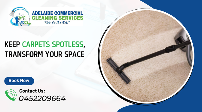 How to Keep Your Carpets Spotless & Transform Your Space? Read to Know